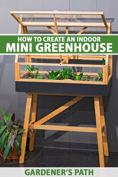 Mini Greenhouse Indoor, Diy Mini Greenhouse, Heating A Greenhouse, Diy Desktop, Indoor Greenhouse, Diy Basement, Small Greenhouse, Greenhouse Kit, Diy Pool