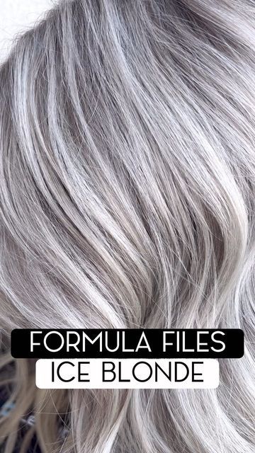 KOURTNEY • CA BLONDE ARTIST on Instagram: "FORMULA FILES 😍 • Save this post for the next time you need a PERFECT ice blonde formula! • FILE #6: ice blonde formula @redken shades eq 1oz 10VV + .5oz 10P + .1oz 10T + .5oz CLEAR • #blassomhair #blassombabe #btconeshot2023_blondes #btconeshot2023_platinum #btconeshot2023_educationalpost #btconeshot2023_colorvideo #btconeshot2023_stylingvideo @oneshothairawards @behindthechair_com @marybehindthechair @kevin.givens" Shades Eq Platinum Toner, Redken Shades Eq Silver Formulas, Shades Eq Silver Toner Formulas, Shades Eq Grey Toner Formulas, Redken Blonde Formula Shades, Redkin Eq Shades Formulas, Redken Shades Eq Formulas Blondes, Shades Eq Toner Formulas, Silver Hair Color Formula