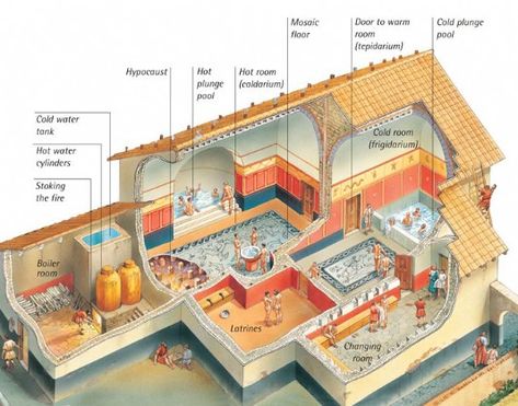 Cutaway illustration of a bathhouse Ancient Roman Houses, Roman Bath House, Ancient Roman Architecture, Roman House, Roman City, Ancient Greek Architecture, Roman Baths, Roman Architecture, Rpg Map