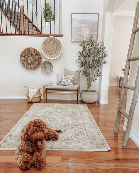 Our Eldorado Rug: 6 Reasons to Love the Sophisticated Best-Seller Rug Stairs, Small Sitting Area, Beyond Repair, Outdoor Entryway, Diamond Trellis, Hardwood Floors Dark, Dark Hardwood, Trellis Rug, Porch And Balcony