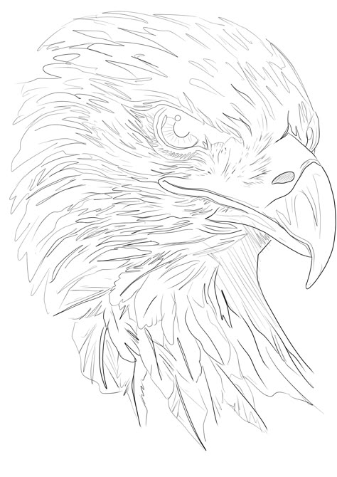 2d Tattoo Design, Eagle Tattoo Stencil, Usa Flag Tattoo, Tattoo Ideas Random, Perspective Tattoos, Eagle Tattoo Ideas, Eagle Tattoo Design, Eagle Head Tattoo, Bald Eagle Tattoos