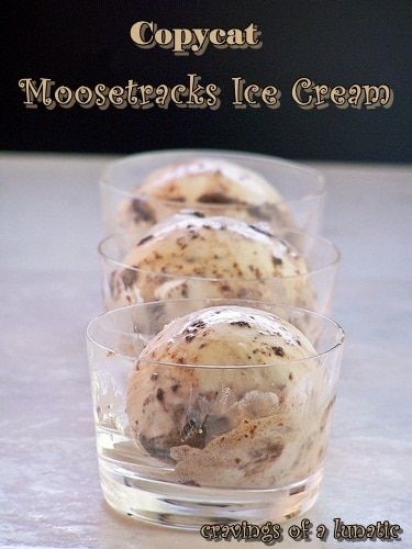 Cuisinart Ice Cream Recipes, Moose Tracks Ice Cream, Moose Tracks, Best Ice Cream Maker, Ice Cream Recipes Machine, Ice Cream Sunday, Cuisinart Ice Cream Maker, Cuisinart Ice Cream, Ice Cream Maker Recipes