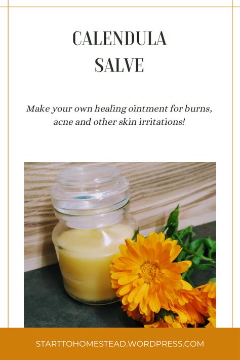 This marigold ointment helps healing burns, acne, diaper rash, abresions small open wounds, etc. Marigold Salve, Burn Ointment, How To Heal Burns, Calendula Salve, Healing Ointment, Herbal Medicine, Irritated Skin, Medicine, Acne