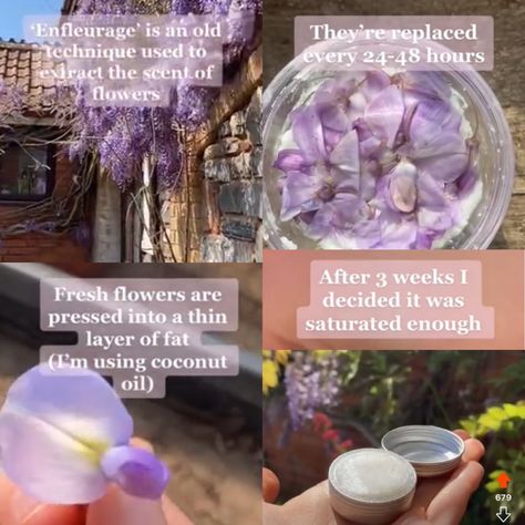 DIY solid wisteria or lilac perfume Wisteria Perfume, Solid Perfume Diy, Themed Meals, Lilac Perfume, Diy Perfume, Beauty Diy, Solid Perfume, 1k Followers, Tiktok Watch