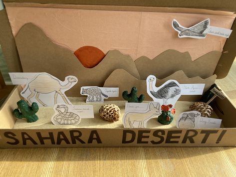 Sahara Desert Diorama, Desert Project For School, Desert Habitat Projects For Kids, School Diorama, Desert Crafts, Desert Project, Ali Project, Biomes Project, Kids Deserts