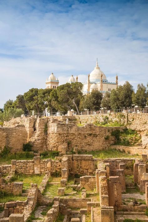 Les ruines de Carthage se situent sur la colline de Byrsa, devant la cathédrale Saint-Louis. Tunisia Aesthetic, Carthage Tunisia, Tunisian Aesthetic, Africa Countries, Ancient Carthage, St Louis Cathedral, Sidi Bou Said, Grand Mosque, Mountain Trails