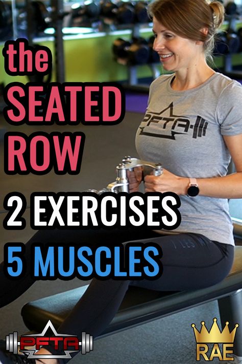 The seated row is one of the most popular exercises in the gym. If done properly, you can target many muscles and improve your posture. Many athletes and gym goers alike use the seated row to build a strong, sexy back. In this article, we're going to discuss the seated row and a few alternatives, just in case you can't get to a seated row in a busy gym. Keep reading to learn more lats, traps, and the seated row. #seatedrow #lats #traps #fitness #health #exercise #posture #pftaschools #raesults Fitness Photoshoot Ideas Gym, Fitness Photoshoot Ideas, Bulk Muscle, Seated Row, Muscle Building Women, Women Muscle, Gain Muscle Mass, Muscle Gain, Fitness Photoshoot