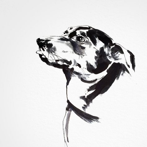 Black & white dog portrait, pen & ink style with brush Ink Brush Drawing, Painting Clipart, Dogs Watercolor, Dogs Clipart, Dog Watercolor Painting, Brush Pen Art, Dog Sketch, Brush Drawing, Tinta China