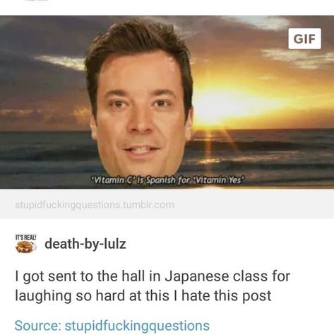 Nikko, Jimmy Fallon, Gag Gifts, Amazon Finds, Tumblr Funny, Funny Laugh, Funny Things, Funny Posts, A Bad