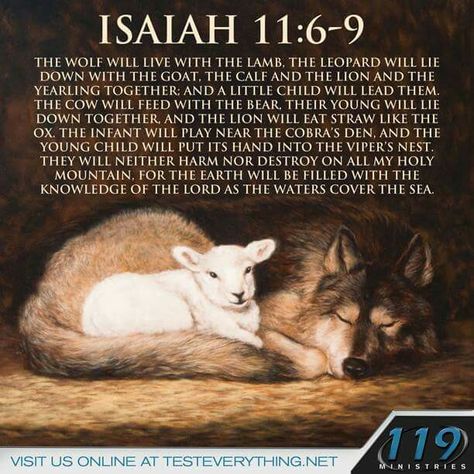 🎚 Isaiah 11:6-9 119 Ministries, Fb Pic, Isaiah 11, Wolf Warriors, Oswald Chambers, Isaiah 9, Spirit Of Truth, Gods Love Quotes, Motivational Quotes For Students