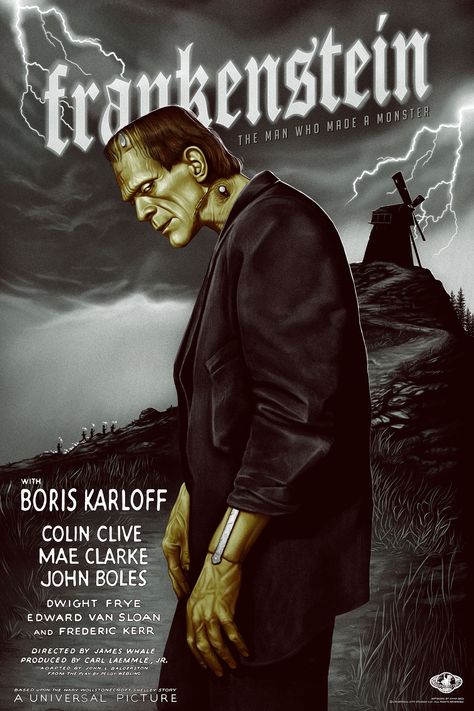 Frankenstein Poster, Frankenstein 1931, Hollywood Monsters, Universal Horror, Classic Horror Movies Posters, Classic Monster Movies, Terror Movies, Culture Aesthetic, Frankenstein Art