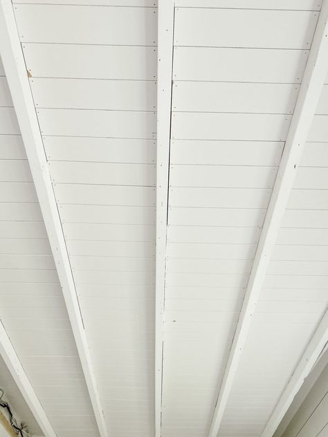 Floor Joist Ceiling, Joist Ceiling, Ceiling Basement, Exposed Ceiling, Raked Ceiling, Exposed Ceilings, Granny Pod, Shiplap Ceiling, Ceiling Trim