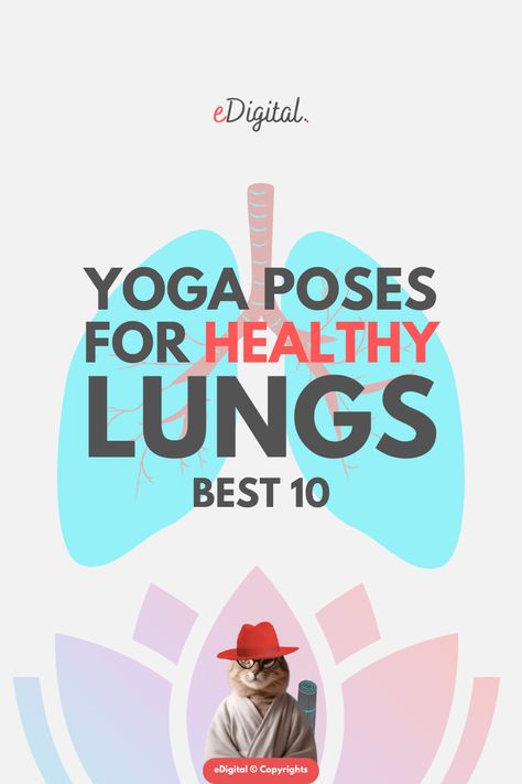 BEST 10 YOGA EXERCISES FOR LUNGS - TOP POSES & ASANAS FOR HEALTHY LUNGS Fish Pose Yoga, Bow Pose Yoga, Top Poses, Yoga Poses Poster, Mobility Stretches, Spine Mobility, Yoga Poses Chart, Gentle Workout, Yoga Backbend