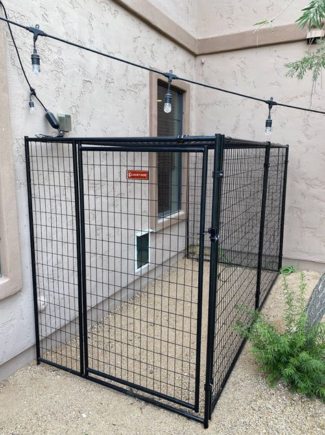 Pet Runs - Hale Pet Doors of Arizona Doggy Door Ideas Large Dogs, Dog Door Ideas In Wall, Doggie Door Ideas, Outdoor Dog Spaces, Large Dog Door, Dog Enclosure, Doggie Door, Dog Kennel Designs, Dog Spaces