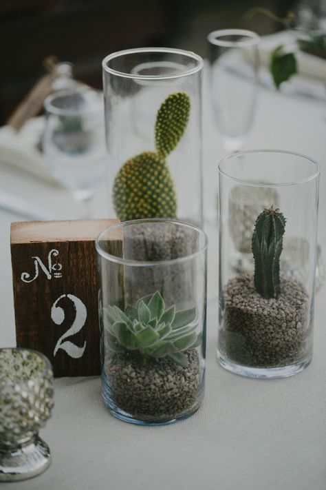 Centerpieces Wedding Succulent, Flower And Succulent Centerpieces, Succulent Decorations Wedding, Succulent Table Setting, Small Cactus Centerpieces, Floating Succulent Centerpieces, Succulent Wedding Decorations Wedding Table Decor, Succulent Table Numbers, Wedding Center Piece Succulents