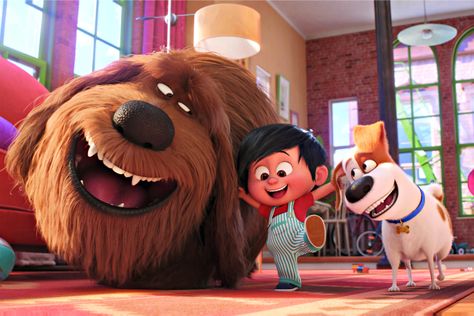 ‘The Secret Life of Pets 2’ Film Review Duke Secret Life Of Pets, The Secret Of Pets, Masha And Bear, Movies Animated, Exotic Animals As Pets, Pets Wallpaper, Pets Movie, Animals Jokes, Cute Animals To Draw