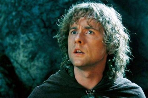 One of Pippin's priceless faces Pippin Lotr, Lotr Characters, The Misty Mountains Cold, Billy Boyd, Merry And Pippin, Portrait Practice, The Last Goodbye, Last Goodbye, The Return Of The King