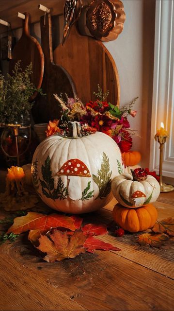 Cassandra Evans (Sunny) // Folk Living on Instagram: "Happy first day of fall! Here’s another fun compostable decorated pumpkin idea for this season. I used white cardstock for the stems and red maple leaves I pressed for a few days and punched with hole punchers. I also adhered some pressed ferns and carrot leaves for a forest vibe 🌲 Here’s the recipe for the glue I like to use that allows the pumpkins to return to nature, or be cooked and eaten, when you’re done with them! Here’s what you Cooking For 1, Carrot Leaves, Decorated Pumpkin, Pumpkin Idea, Happy First Day Of Fall, Elegant Halloween Decor, Return To Nature, Halloween Bedroom, Pumpkin Contest