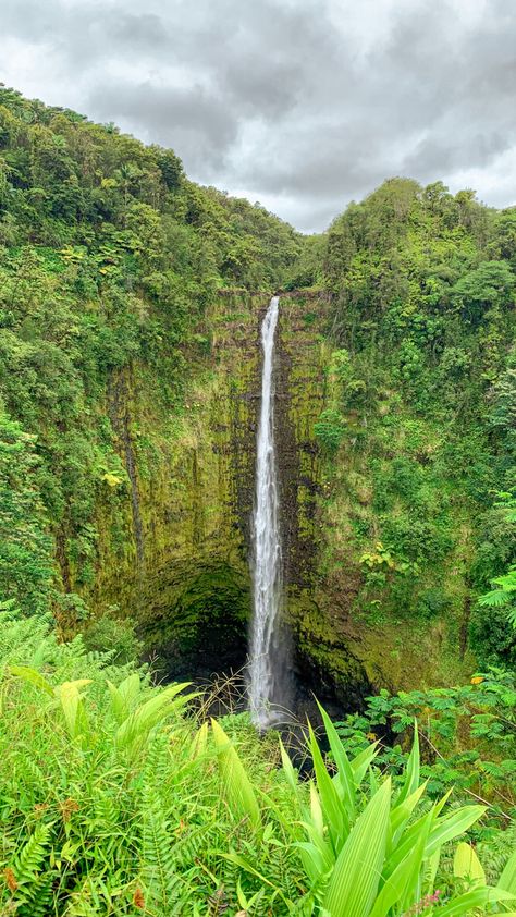 📍’akaka falls, hawaii Akaka Falls Hawaii, Akaka Falls, Hawaii Waterfalls, Places Ive Been, Hawaii, Collage, Water, Travel, Pins