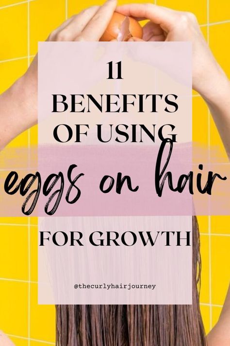 Egg For Hair: Benefits of Hair Growth, Side Effects & More – The Curly Hair Journey Collagen For Hair Growth, Oils For Natural Hair, Repair Hair Damage, Curly Hair Journey, Benefits Of Collagen, For Healthy Hair Growth, Egg For Hair, Honey Benefits, Hair Journey