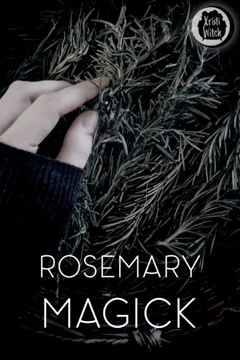 Burning Rosemary Witchcraft, Rosemary Uses Witch, Bay Leaves Burning Spells, Rosemary Burning, Rosemary Magic, Burning Rosemary, Magick Recipes, Uses For Rosemary, Magic Sigils