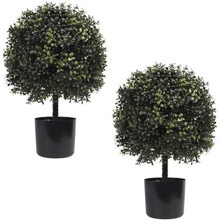 Amazon.com - ECOLVANT Two 20''T Artificial Boxwood Topiary Ball Tree UV Resistant Potted Plants Artificial Flower Buds Tree for Indoor Outdoor Home Garden (2, Brown Flowers) Boxwood Tree, Outdoor Topiary, Faux Boxwood, Boxwood Plant, Boxwood Balls, Topiary Tree, Porch Plants, Topiary Plants, Artificial Topiary