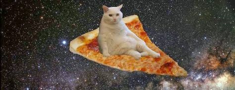 Pizza space cat Pizza, White, Pizzas