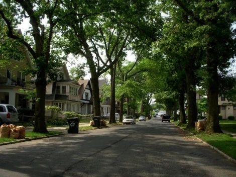 Tree Lined Street, Street Trees, Small Town Life, Suburban House, Scenic Photos, Fancy Houses, Tree Line, House Goals, Big Houses