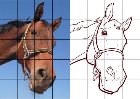 Your First Week of Drawing: Grid Drawing – Colour Cow Animal Sketches Easy, Head Proportions, Falcon Art, Drawing Grid, Basic Sketching, Grid Drawing, Horse Art Drawing, Art Assignments, Kerala Mural Painting