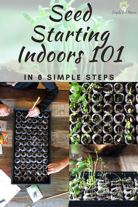 Growing Station, When To Start Seeds, Start Seeds Indoors, Seedlings Indoors, Starting Seeds, Aesthetic Header, Starting Seeds Indoors, Diy Gardening, Home Vegetable Garden