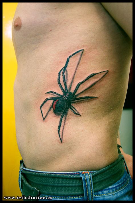 Escobar Tattoo, 3d Spider Tattoo, Redback Spider, Spider Tattoos, Hexagon Tattoo, Ems Tattoos, Spider Web Tattoo, Web Tattoo, Insect Tattoo