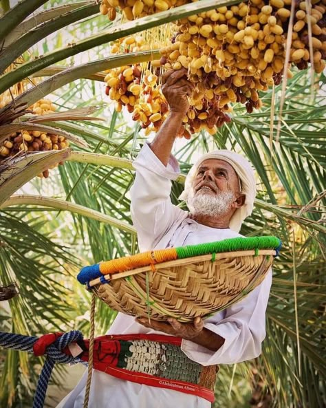 Uae Culture And Heritage, Jabal Jais, Bahrain Culture, Oman Culture, Ramadan Calender, Uae Heritage, Old Jeddah, Uae Culture, Saudi Architecture