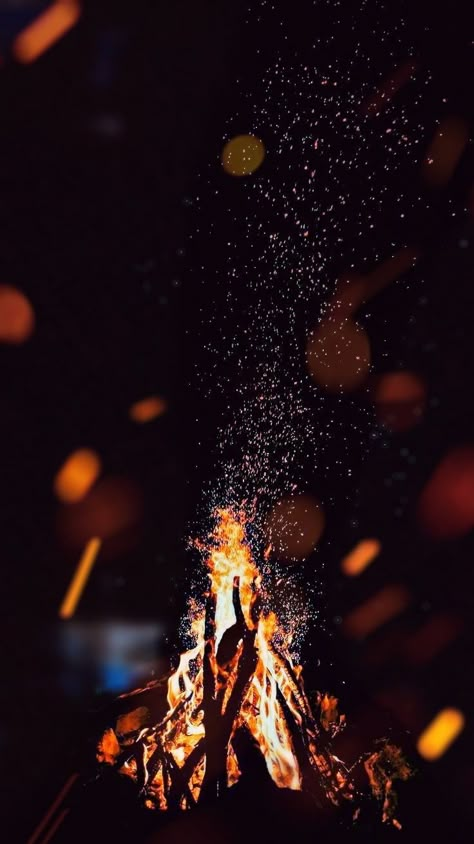 Lohri Fire Images, Lohri Background, Moon Iphone Wallpaper, 4k Iphone Wallpaper, Tree Sleeve, Iphone Wallpaper 4k, Flaming Hot, Eagle Wallpaper, Eagle Pictures