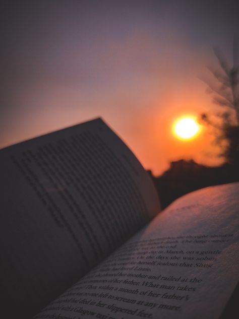 Reading Esthetics, Book Esthetics, Nature Esthetics, Books Esthetics, Book Asthetics Photos, Summer Reading Aesthetic, Outdoors Aesthetic, Sun Aesthetic, Girl Reading Book