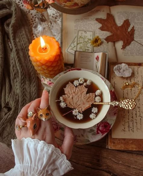 Cottagecore Autumn, Autumn Witch, Anniversary Shoot, Autumn Family Photos, Autumn Tea, Autumn Magic, Autumn Actvities, Autumn Leaves Photography, Fall Mood