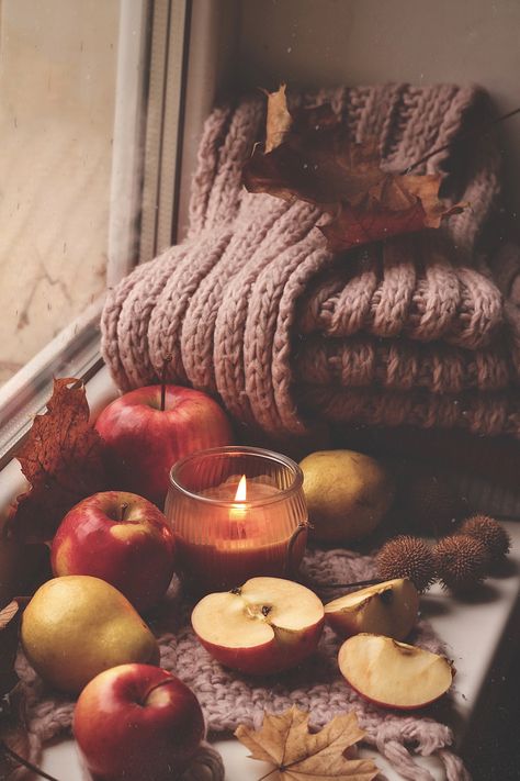 Autumn Flatlay, Sea Wallpaper, Autumn Magic, Fall Feels, Autumn Cozy, Autumn Aesthetic, Fall Wallpaper, Samhain, Autumn Photography