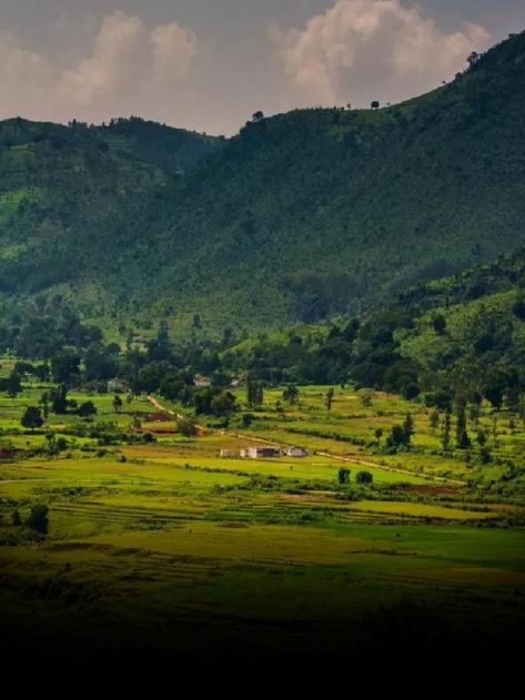 Must Visit Places In Araku Valley - News24 Araku Valley, Palm Tree Flowers, Cooking Toys, Coconut Palm Tree, Easy Bake, Visit Places, Hill Station, The 2000s, Status Quo