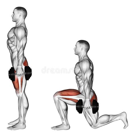 Exercising. Lunges with dumbbells vector illustration Steps Illustration, Shoulder Training, Insanity Workout, Bottom Workout, Legs Workout, Gym Workout Tips, Dumbbell Workout, Fat Burning Workout, Muscle Fitness