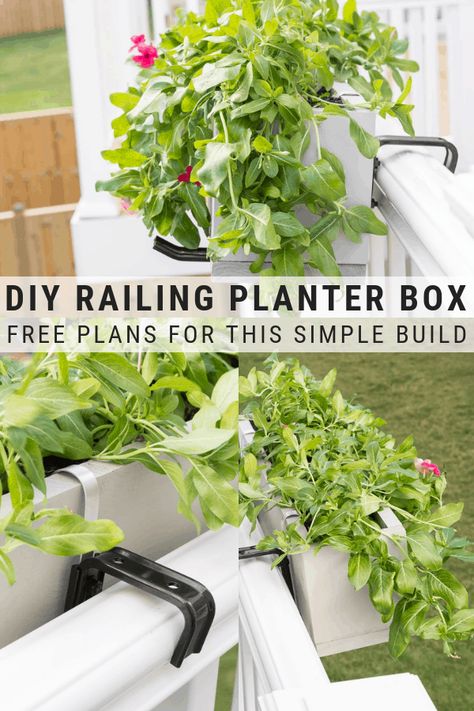 Learn how to make a railing planter box! Diy Balcony Planter Boxes, Diy Railing Planters, Diy Railing, Balcony Planter Boxes, Railing Planter Boxes, Balcony Railing Planters, Deck Railing Planters, Front Porch Planters, Planter Box Plans