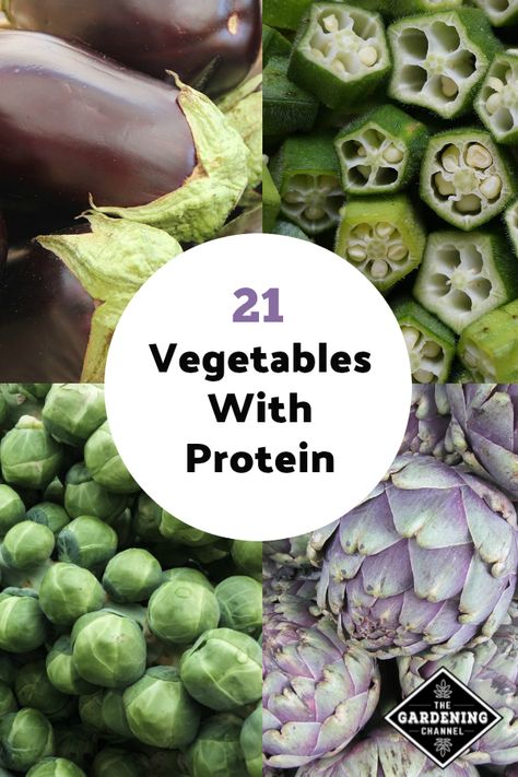 Are you looking for plant based sources for protein. Try growing one of these 21 vegetables in your garden that have protein. #gardeningchannel #gardennutrition #vegetablegardening Vegetarian Food List, High Protein Vegetables, Protein Vegetables, List Of Vegetables, Gaps Diet, Going Vegetarian, Vegetarian Diet Plan, Good Sources Of Protein, Vegetable Protein