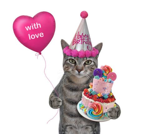 8,300+ Happy Birthday Cat Stock Photos, Pictures & Royalty-Free Images - iStock | Happy birthdays, Happy birthday cake, Happy birthday card Silly Happy Birthday, Cat Birthday Funny, Cat Celebrating, Happy Birthday Cat, Birthday Icon, Cute Happy Birthday, Kitty Wallpaper Aesthetic, Hello Kitty Wallpaper Aesthetic, Birthday Cat