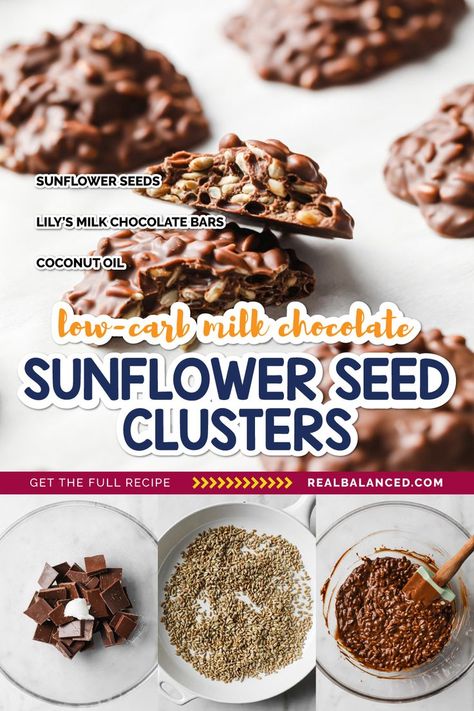 Sunflower Seed Recipes Snacks, Sunflower Seed Recipes, Seed Clusters, Chocolate Sunflower, Low Carb Milk, Low Carb Granola, Best Chocolate Desserts, Healthy Protein Snacks, Keto Candy