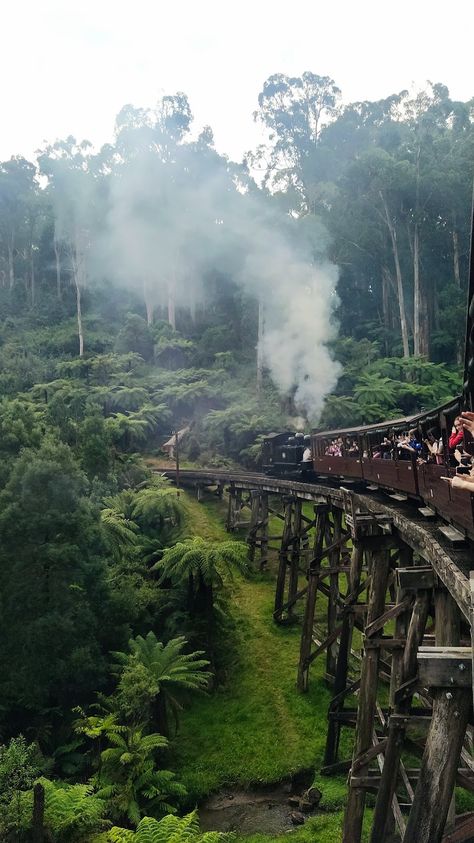 Puffing Billy Melbourne Australia, Travel Aesthetic Australia, Australia Melbourne Aesthetic, Australian School Aesthetic, Aussie Photography, Melbourne Australia Aesthetic, 2025 Intentions, Melbourne Life, Melbourne Aesthetic