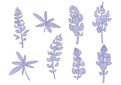 Bluebonnet Flower Vectors. Choose from thousands of free vectors, clip art designs, icons, and illustrations created by artists worldwide! Hand Embroidery Bluebonnets, Dainty Bluebonnet Tattoo, Bluebonnet Drawing, Bluebonnet Tattoo, Bluebonnet Flower, Texas Tattoo, Farmhouse Signs Diy, Black And White Png, Blue Bonnet