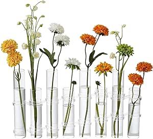 Dinyeo Hinged Flower Vase Different Heights Clear Cylinder Glass Test Tube Propagation Station Test Tube Propagation, Test Tube Vase, Propagation Station, Hydroponic Plants, Test Tubes, Bookshelf Desk, Wedding Arrangements, Vase Centerpieces, Home Decor Vases