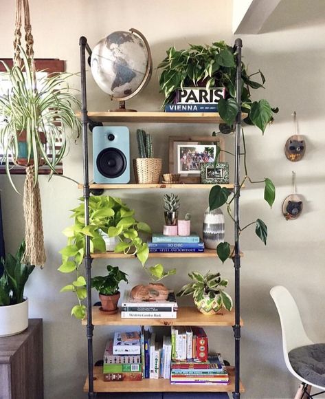 Interior Boho, Decorating Bookshelves, Indoor Trees, House Plant Care, Decoration Inspiration, Home Trends, Ferm Living, A Shelf, Decorating Coffee Tables