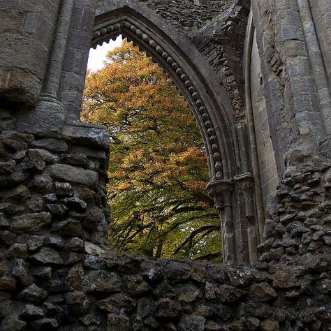 Glastonbury Abbey, Castle Medieval, Half Elf, Somerset England, Abandoned Castles, Castle Ruins, Old Stone, Abandoned Places, Somerset