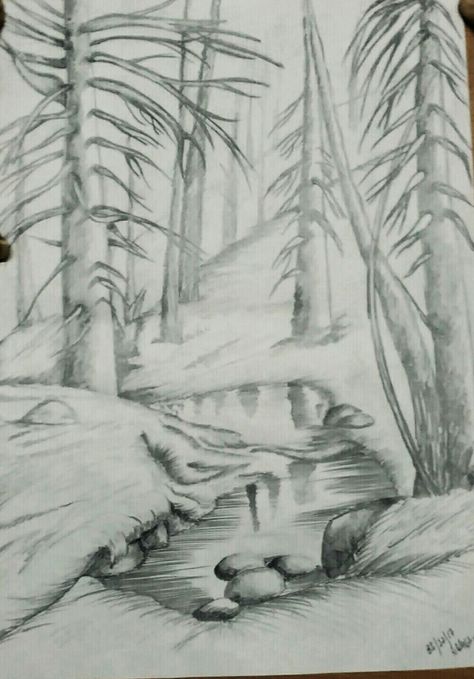 Autum forest  Pencil sketch Easy Forest Sketch, Forest Drawing Pencil Easy, Drawing Forest Pencil, Pencil Drawing Forest, Pencil Forest Drawing, Fantasy Forest Drawing Pencil, Forest Sketch, Pencil Drawing Images, Pencil Trees