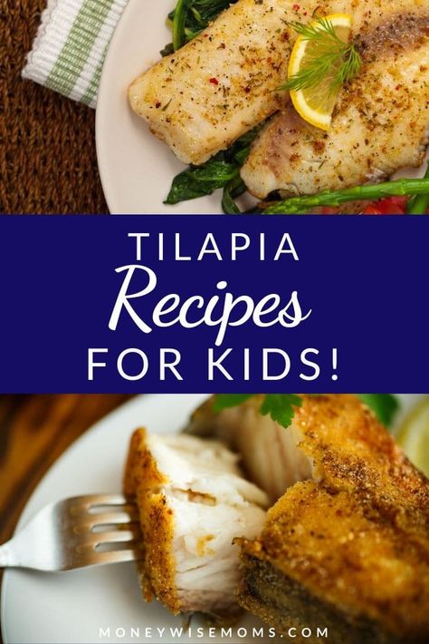 Easy Fish Dinner Recipes For Family, Family Friendly Fish Recipes, Kid Friendly Fish Recipes, Easy Tilapia Recipes, Easy Baked Tilapia, Superfood Snacks, Gluten Free Coconut Macaroons, Easy Tilapia, Fish Recipes For Kids