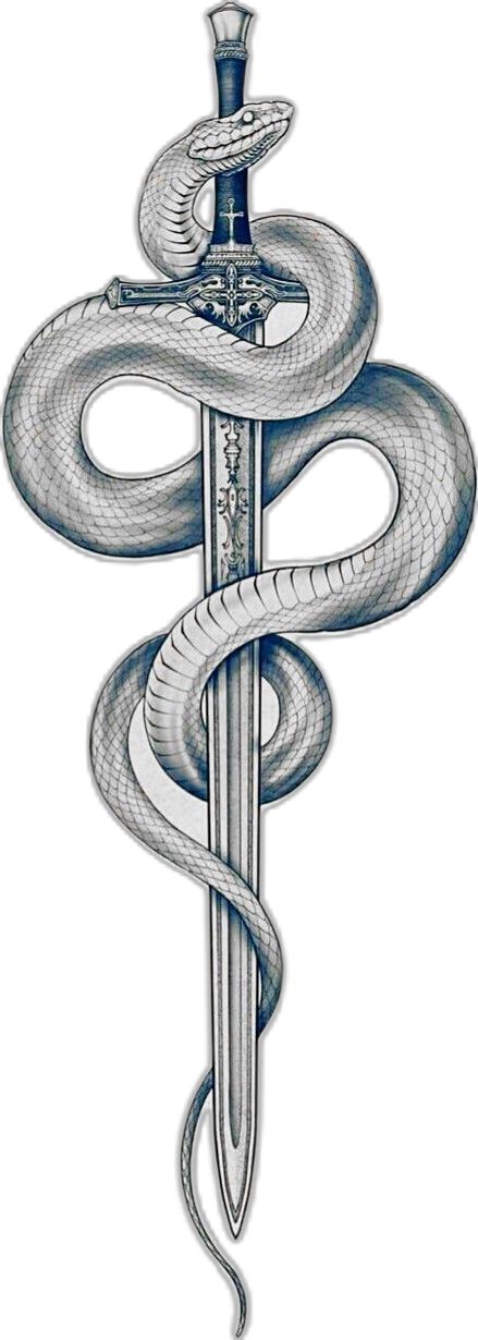 Tattoo Cobra, Snake And Dagger Tattoo, Antler Tattoos, Cobra Tattoo, Skull Sleeve Tattoos, Skull Sleeve, Dagger Tattoo, Full Sleeve Tattoos, Cool Small Tattoos